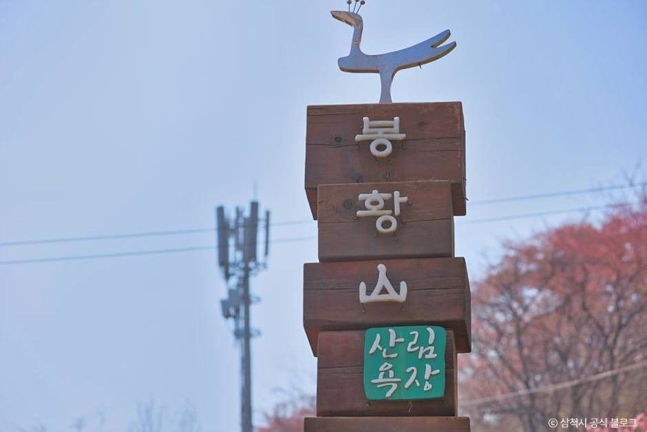 봉황산산림욕장 대표 이미지