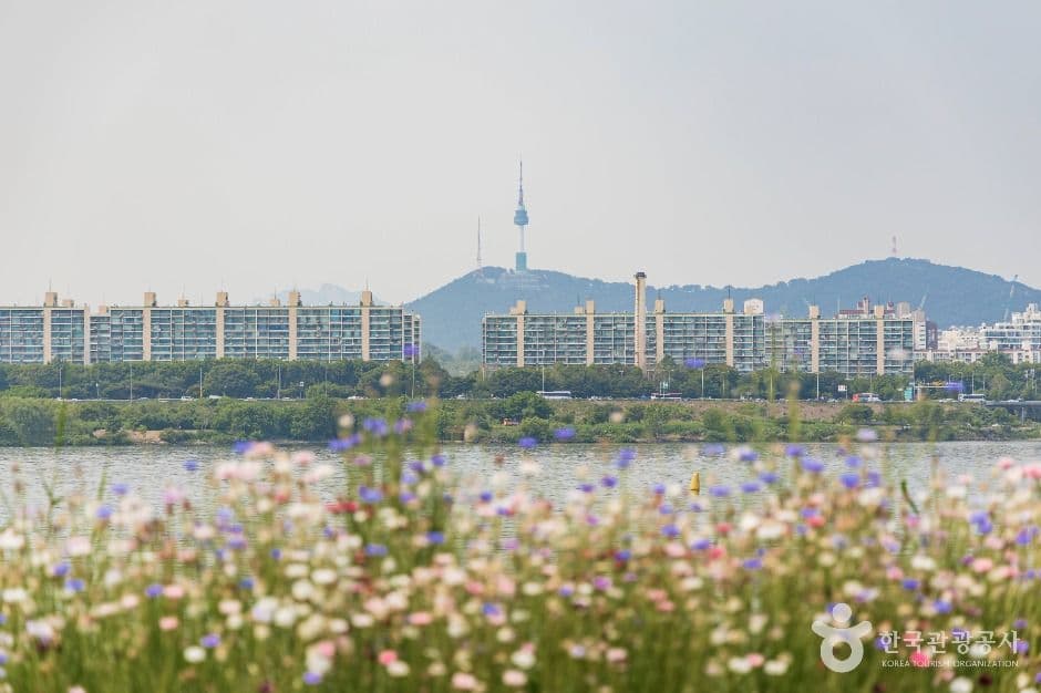 반포 서래섬 대표 이미지