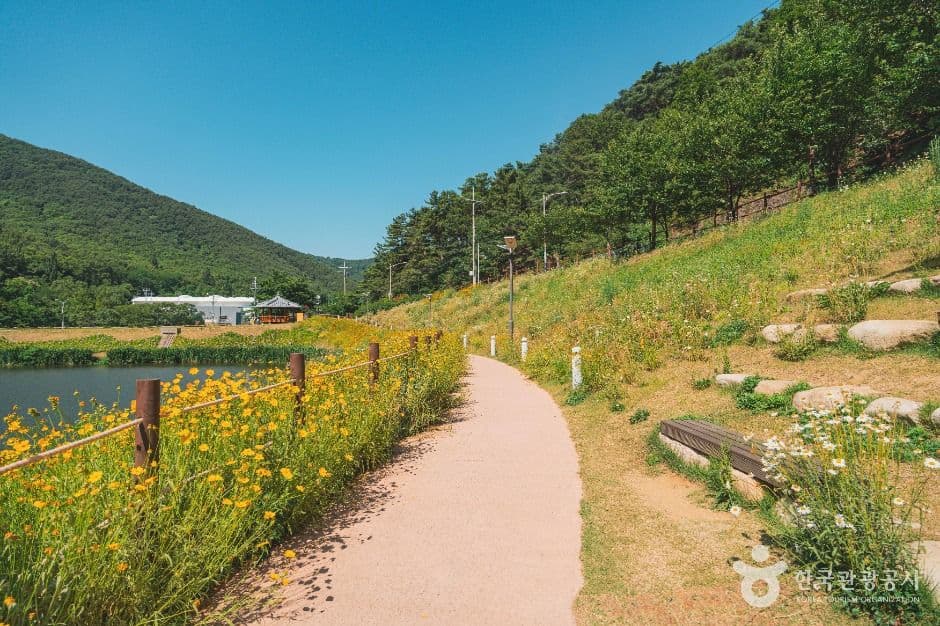 진밭골산림공원 대표 이미지