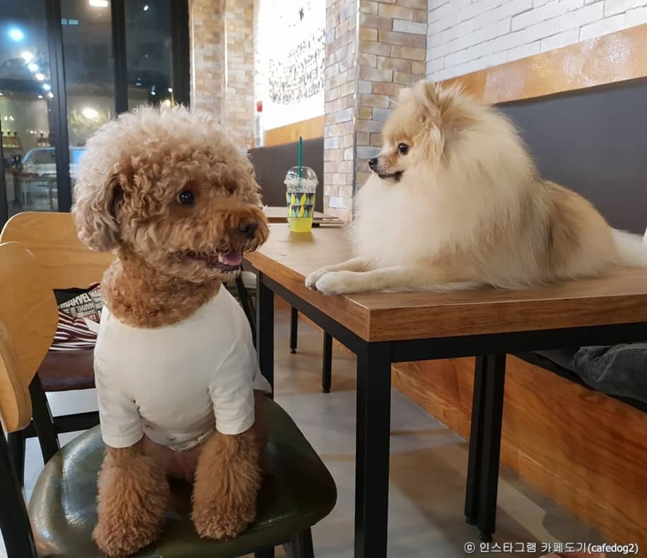 도기 대표 이미지