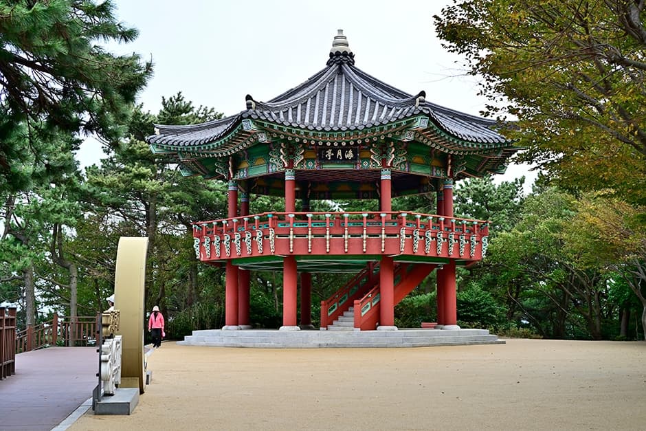 달맞이동산 대표 이미지