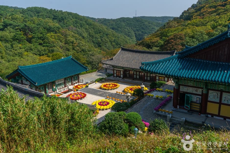 신흥사(울산) 대표 이미지