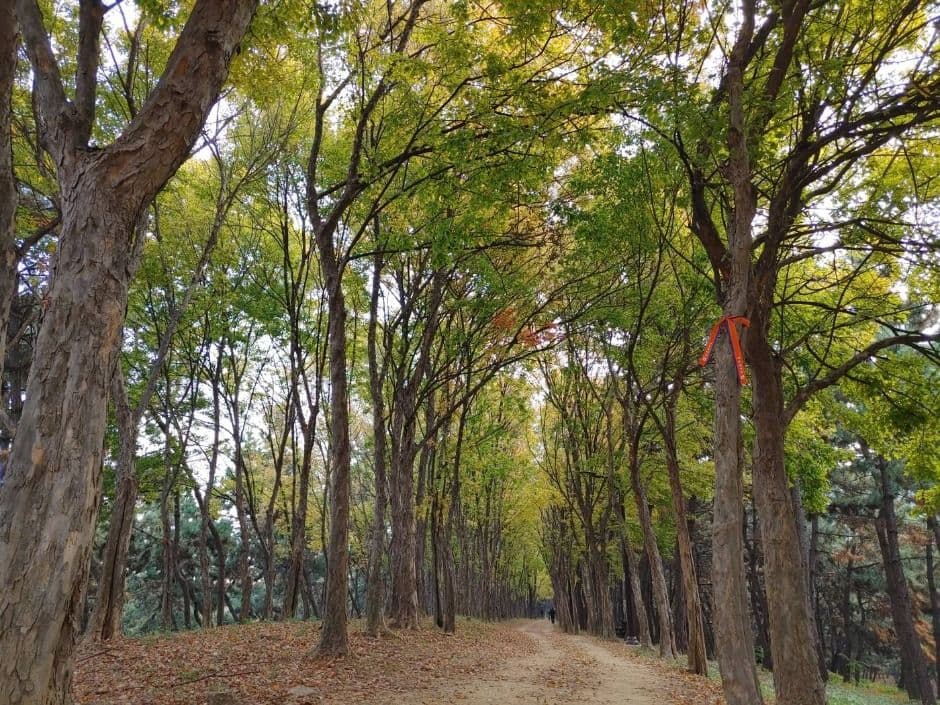 [시흥 늠내길 5코스] 정왕둘레길 대표 이미지