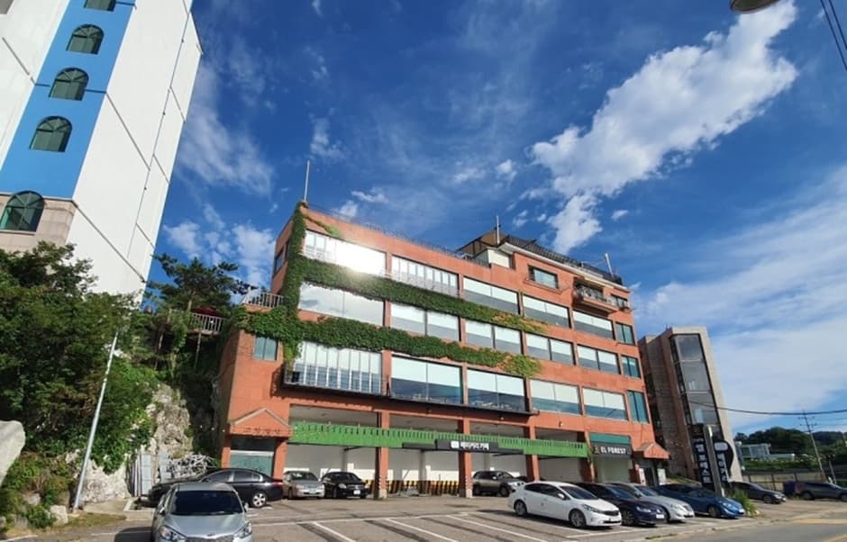 엘포레스트 대표 이미지