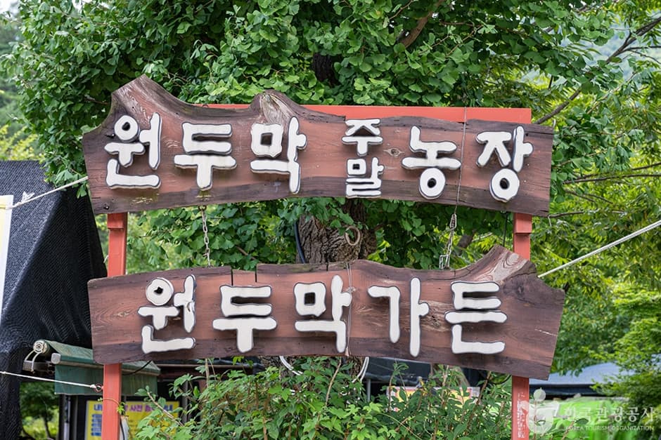 원두막주말농장 대표 이미지