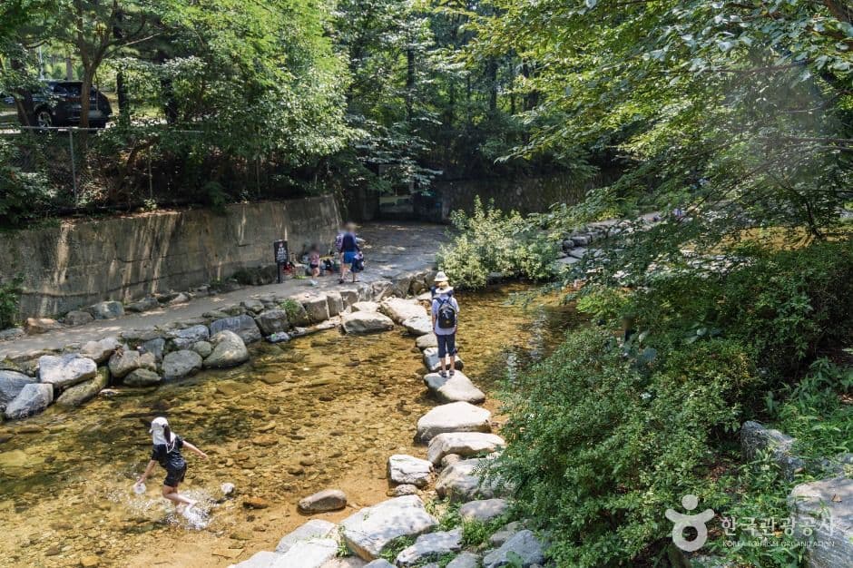 신림계곡 대표 이미지