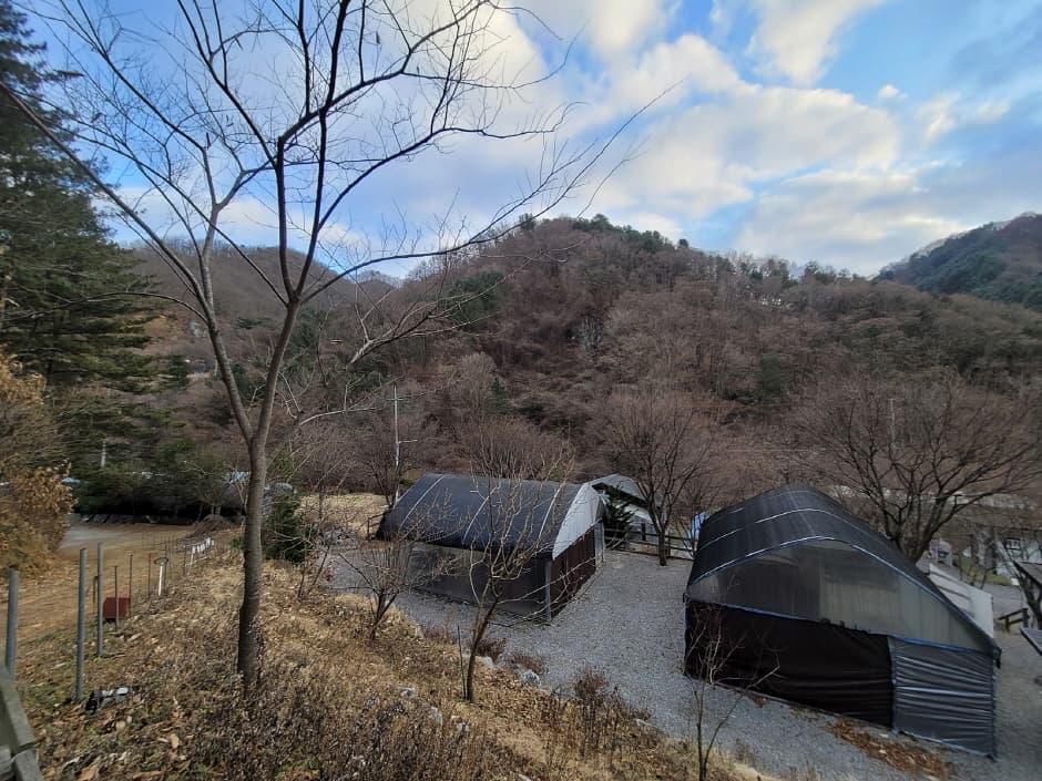 별드림캠핑장 대표 이미지
