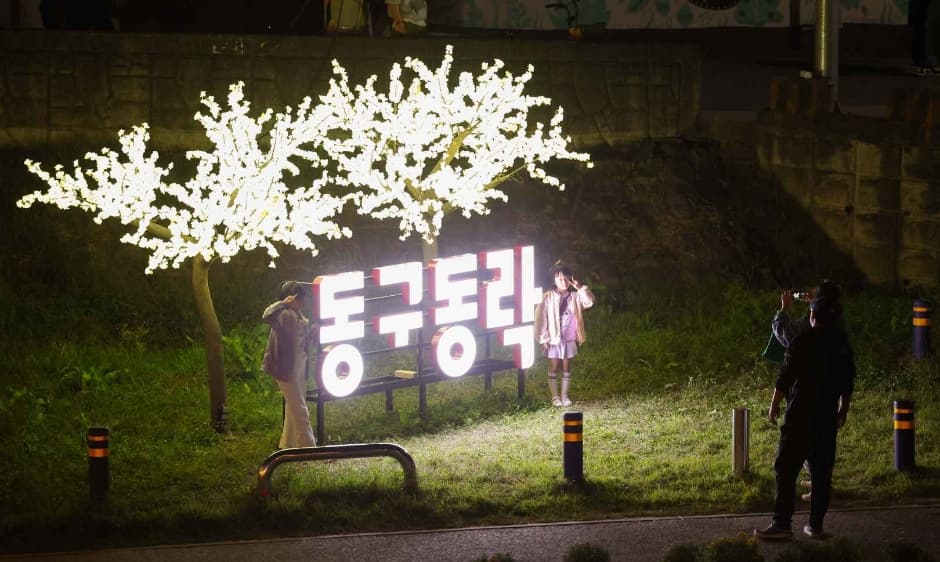 대전 동구동락 축제 대표 이미지