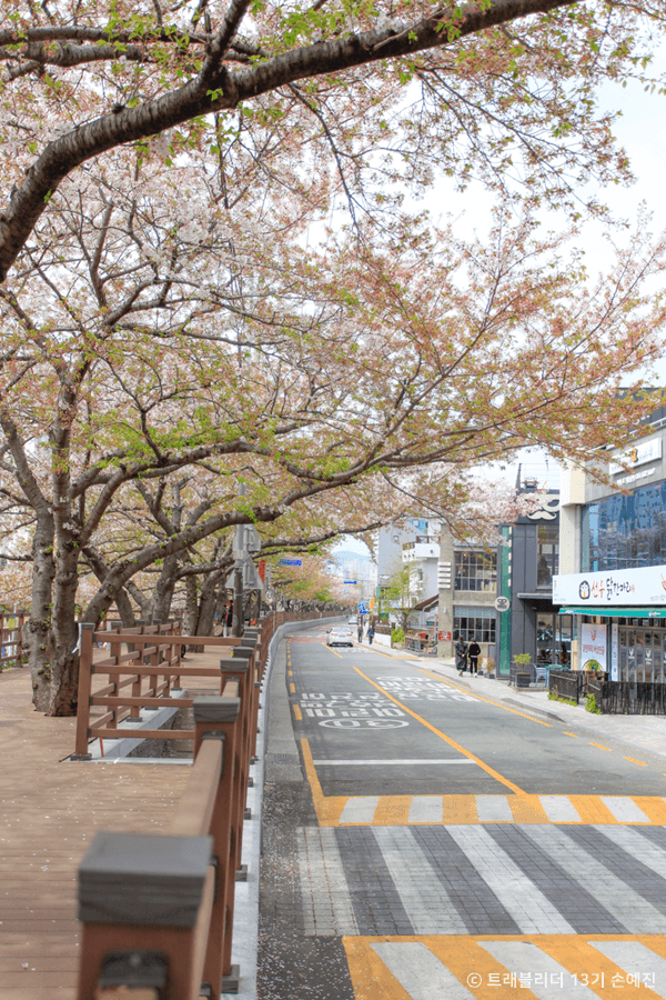 르쎄 대표 이미지