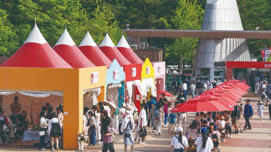 울산대공원 장미축제 대표 이미지