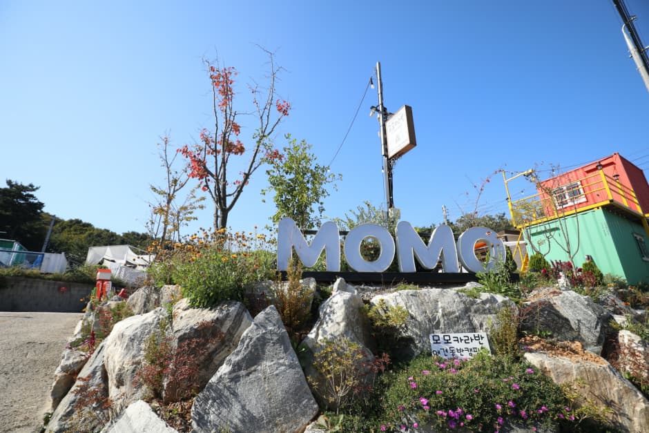 모모카라반 대표 이미지