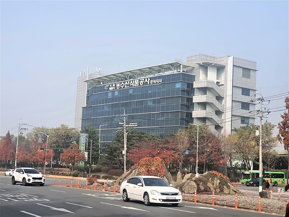 강서농산물도매시장 대표 이미지