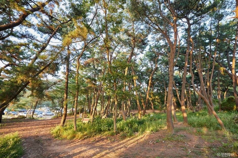 호룡곡산 대표 이미지