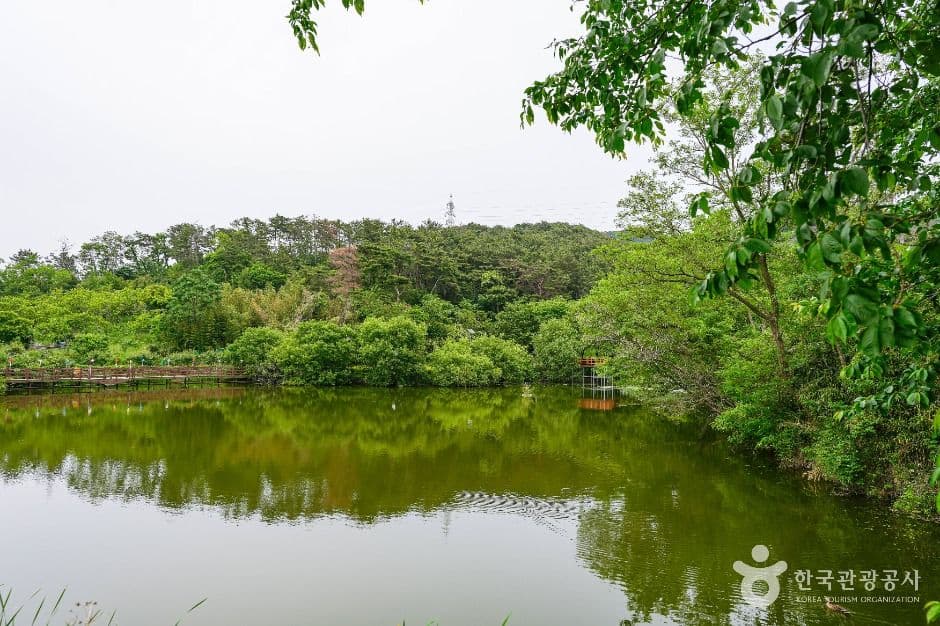 화동못수변공원 대표 이미지