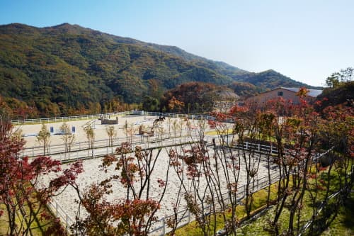 W홀스랜드 대표 이미지