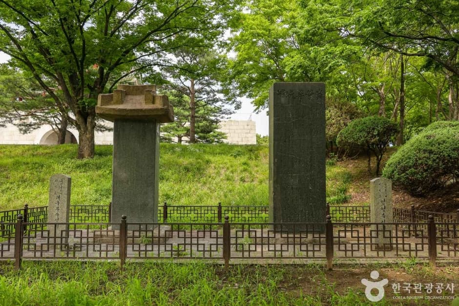 대구부수성비 대표 이미지
