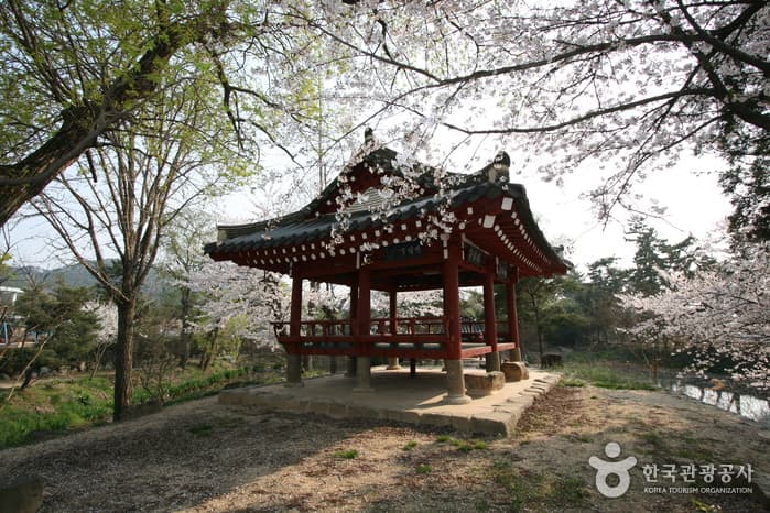 광주 서구 8경 중 4경을 찾아 떠나는 여행 대표 이미지