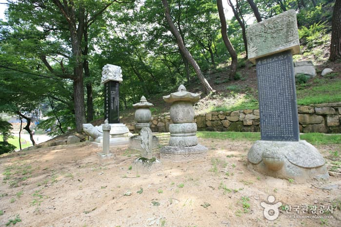 회진당원의대사지비 대표 이미지
