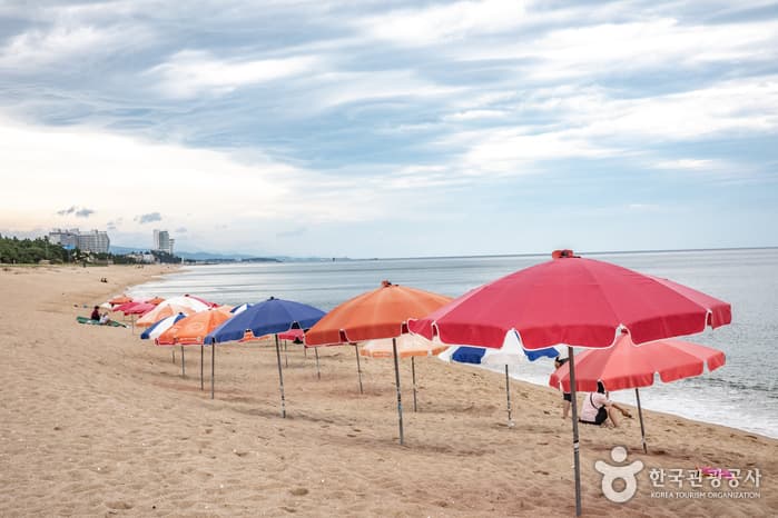 송정해변 대표 이미지