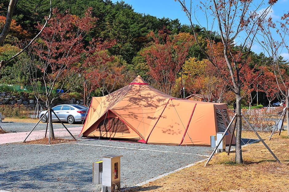 태화연오토캠핑장 대표 이미지
