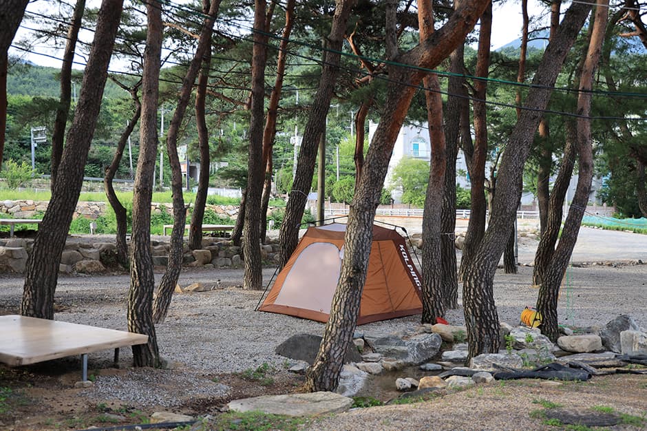 울산시 힐링캠프 대표 이미지