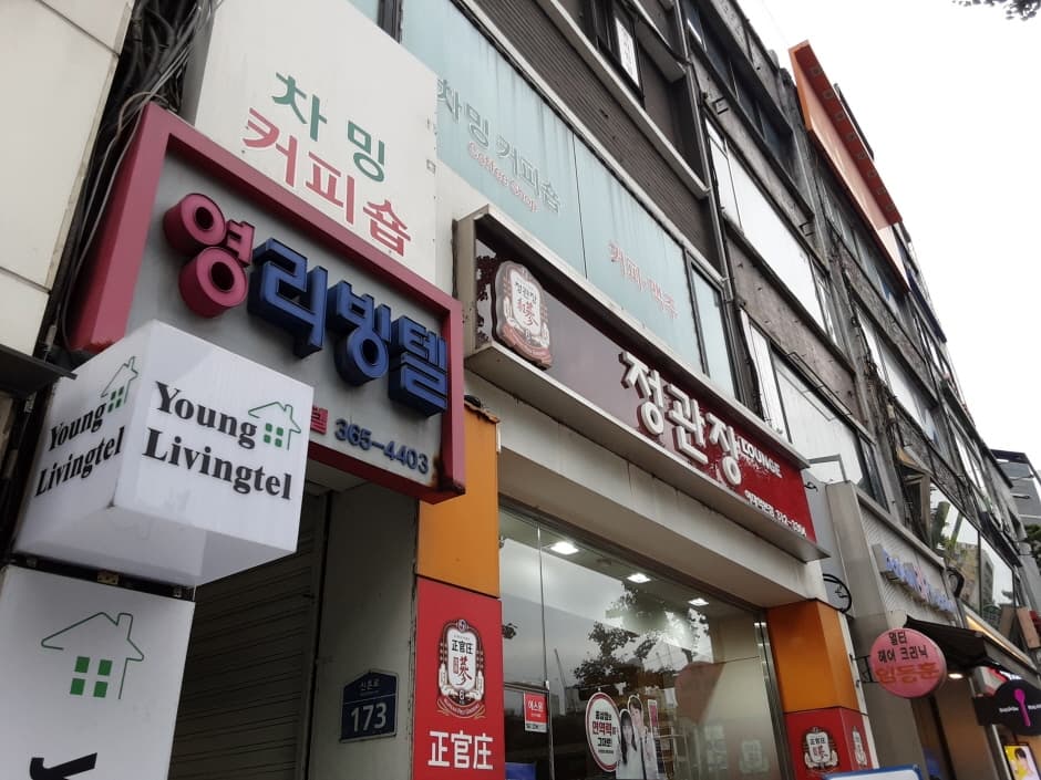 정관장 홍제 대표 이미지