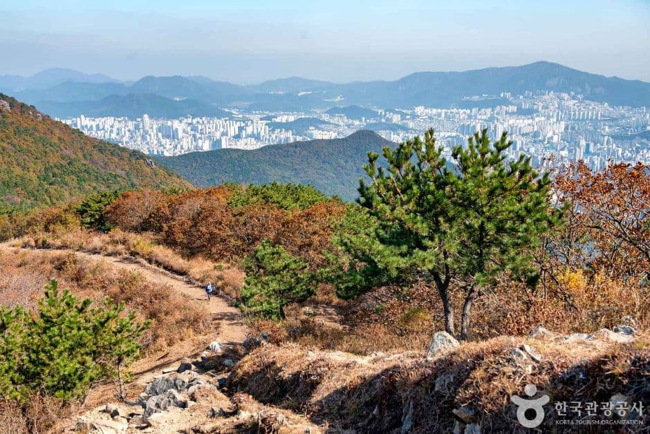 백양산 (부산 국가지질공원) 대표 이미지