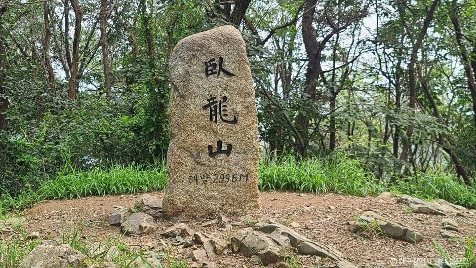 와룡산(대구) 대표 이미지