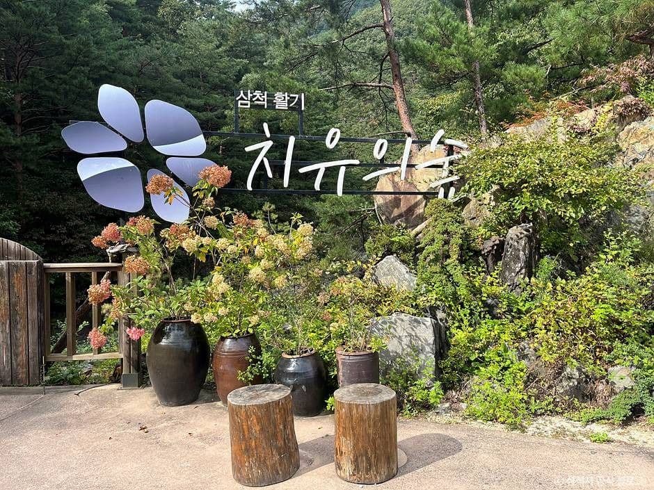 삼척 활기 치유의 숲 대표 이미지