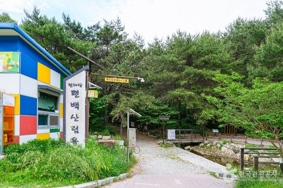 북구 편백산림욕장 대표 이미지