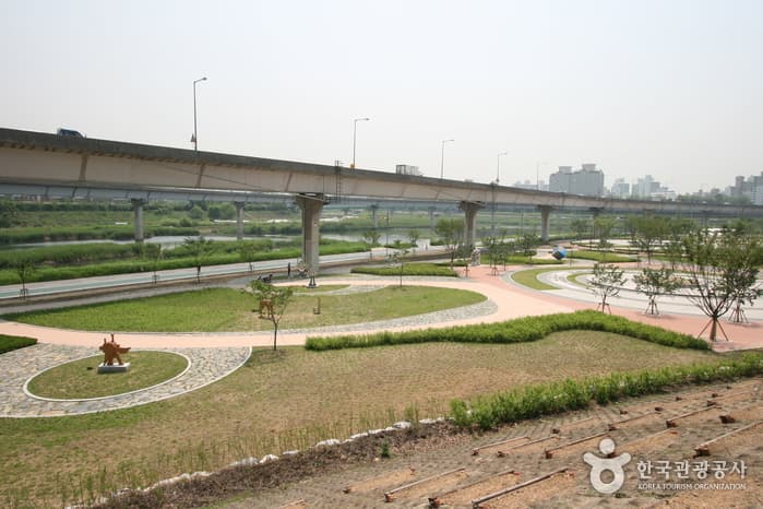 살곶이체육공원 대표 이미지