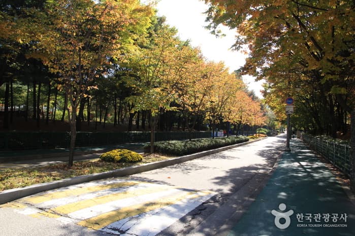 봉화산(서울) 대표 이미지