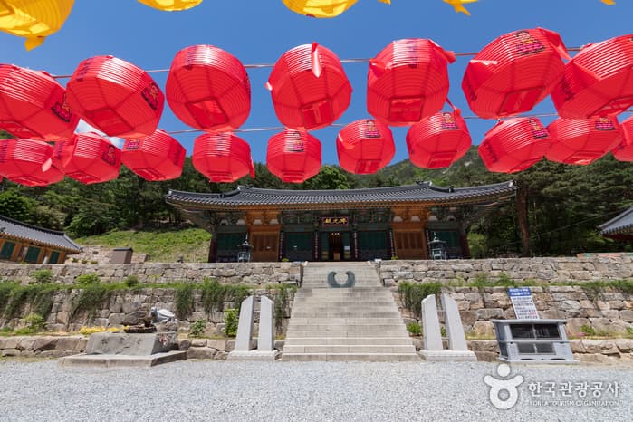 삼화사 템플스테이 대표 이미지