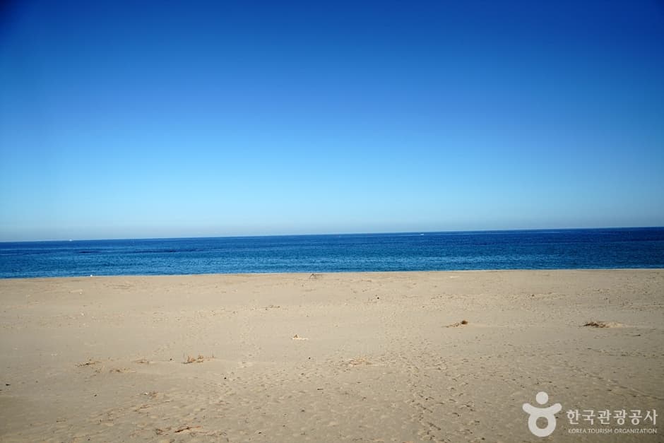 하맹방해변 대표 이미지