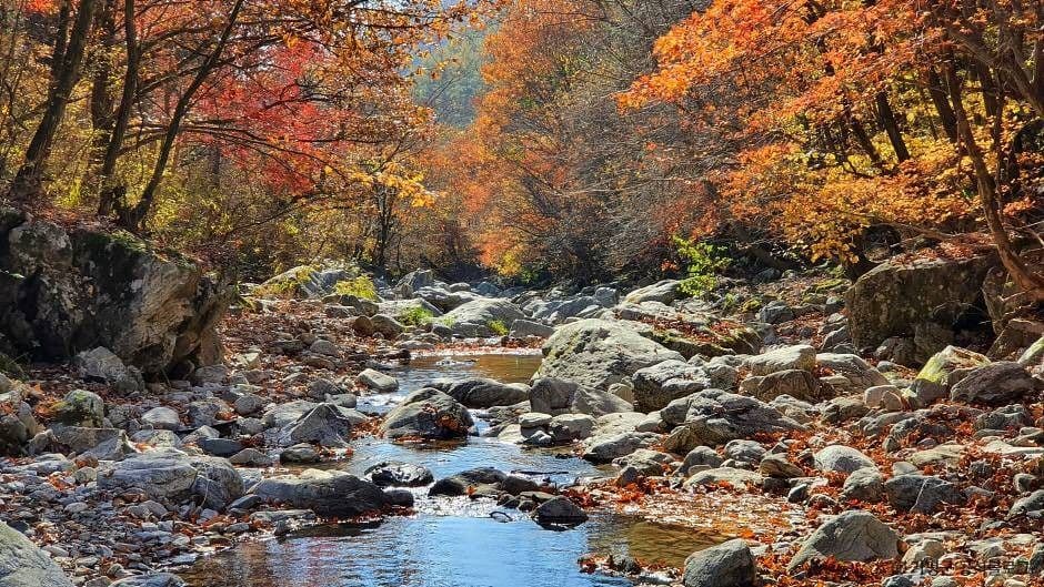 경반계곡 대표 이미지