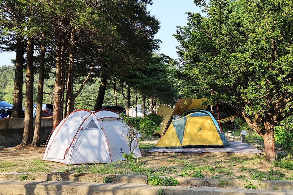 보광농촌체험휴양마을 대표 이미지