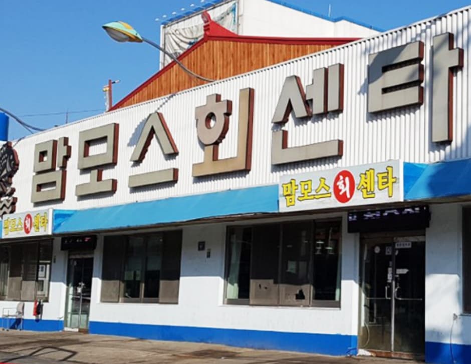 맘모스회센터 대표 이미지