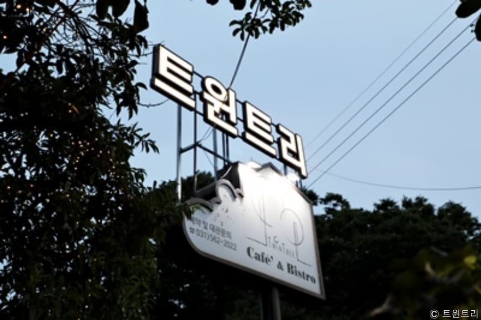 트윈트리 대표 이미지