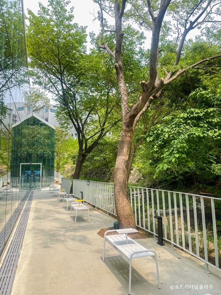 송트리타임콜라주 대표 이미지