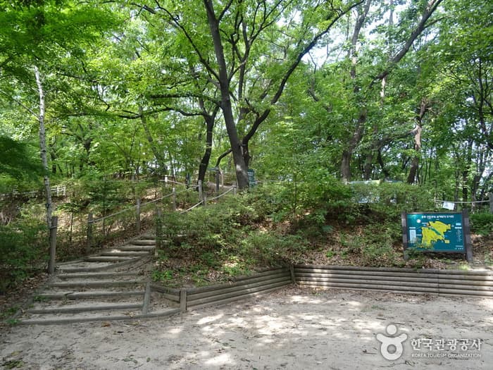 오동근린공원 대표 이미지
