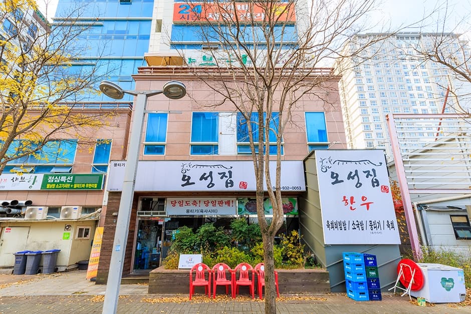 오성집 대표 이미지