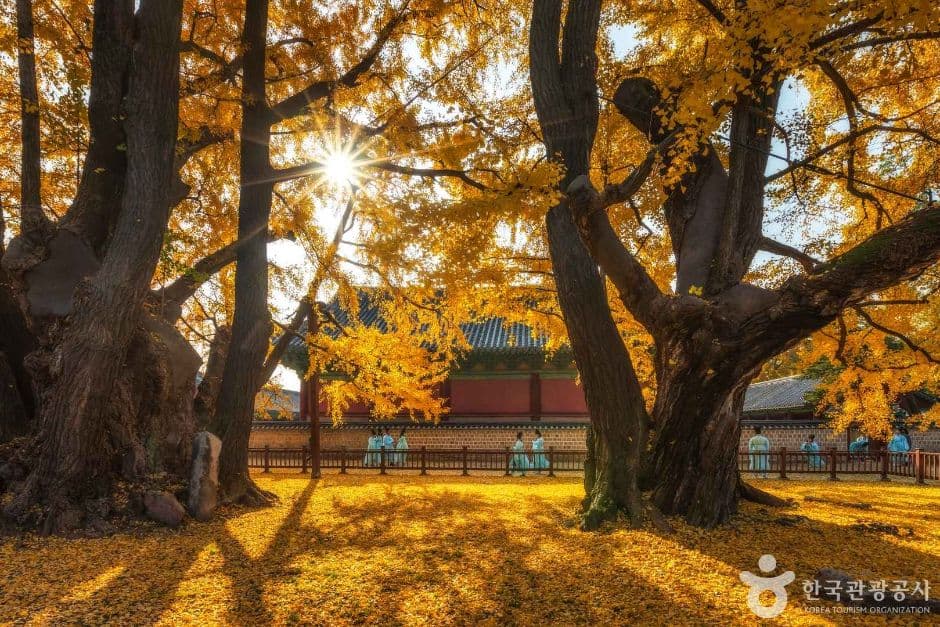 서울 문묘와 성균관 대표 이미지