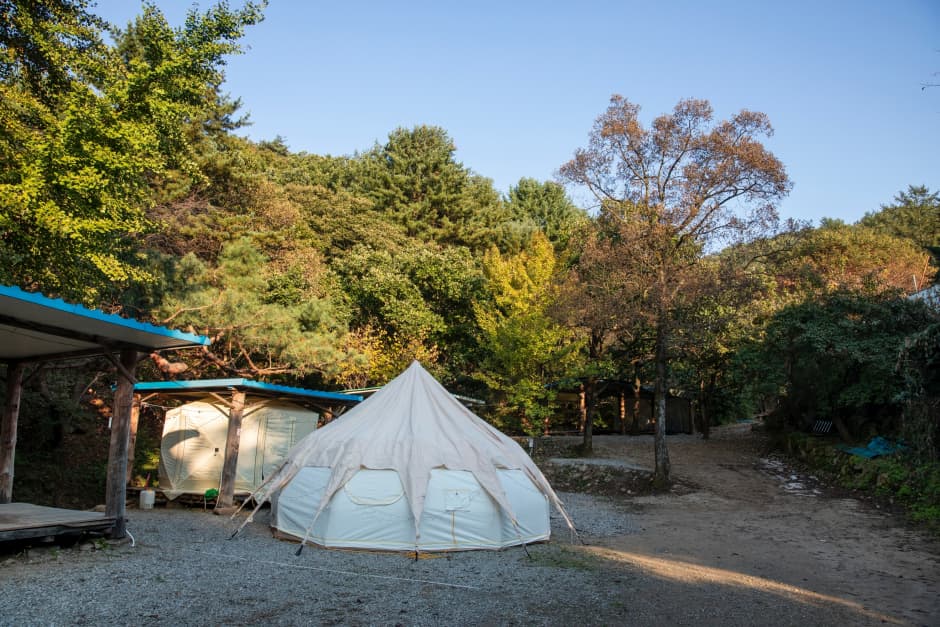 돈내미농장 대표 이미지
