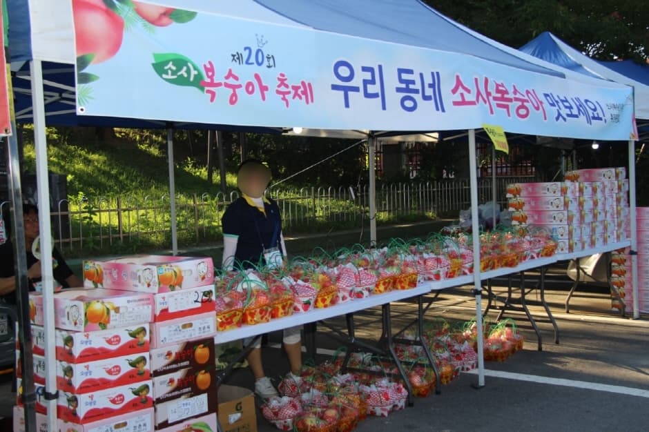 소사복숭아축제 대표 이미지