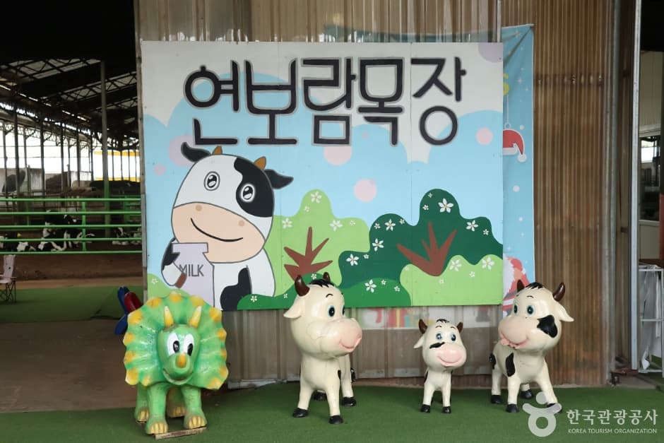 연보람목장 대표 이미지