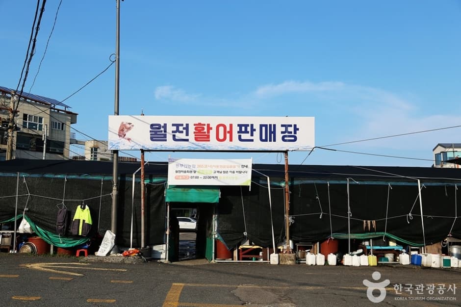월전 활어판매장 대표 이미지