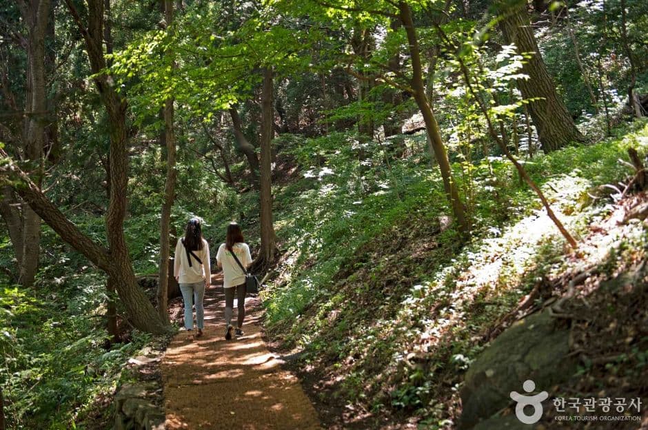 구덕문화공원 대표 이미지