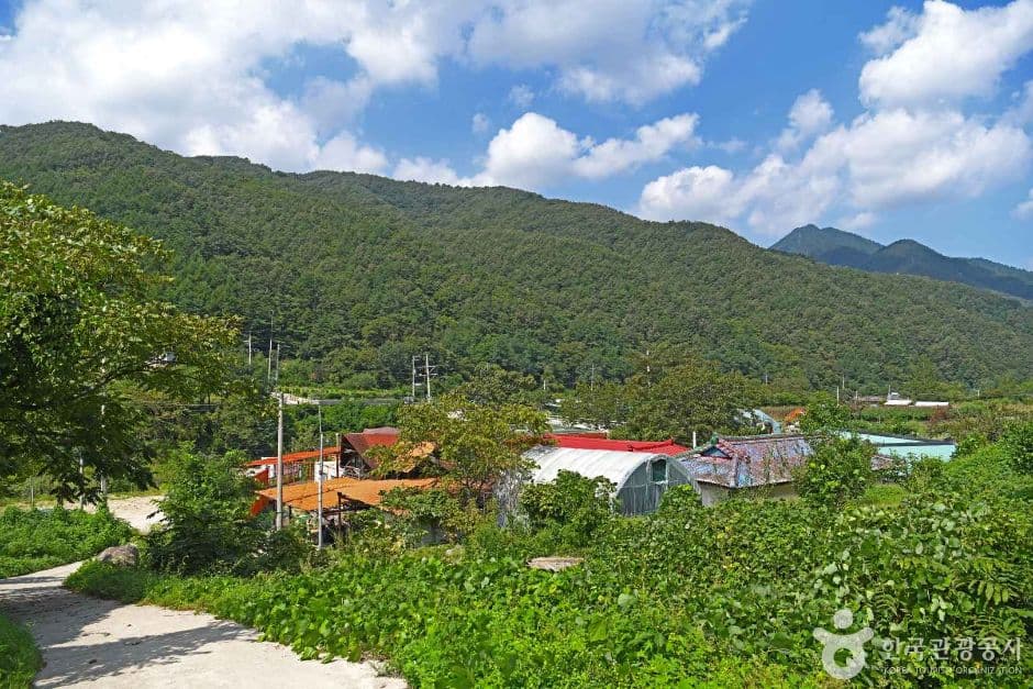 진부리 마을관리휴양지 대표 이미지