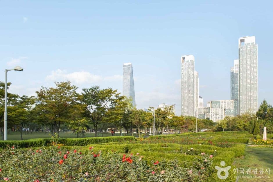 해돋이공원 대표 이미지