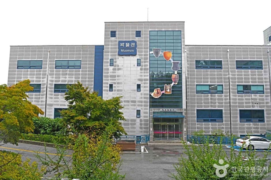 강릉원주대학교 박물관 대표 이미지